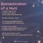 Domestication of a Mutt